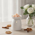 Naranja y Especias - Mini Wax Melts